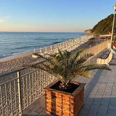 Summer Rose By The Sea *