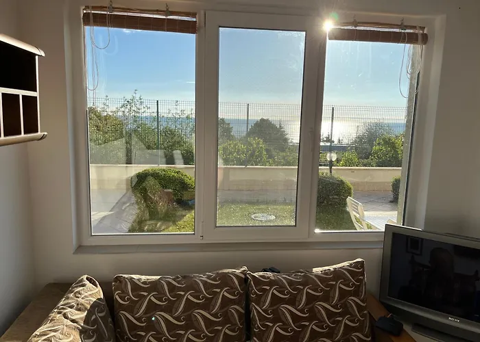 Summer Rose By The Sea