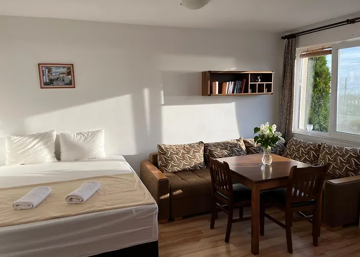 Summer Rose By The Sea