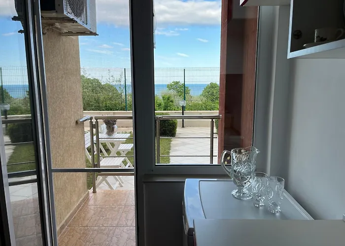 Summer Rose By The Sea