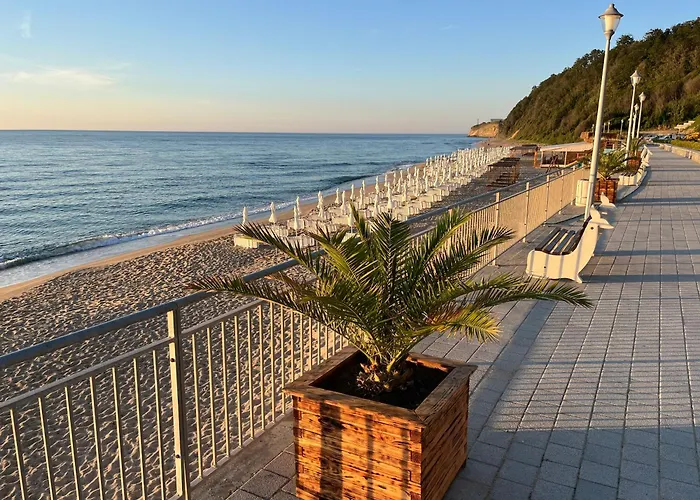 Summer Rose By The Sea *