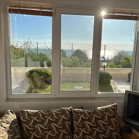 Summer Rose By The Sea