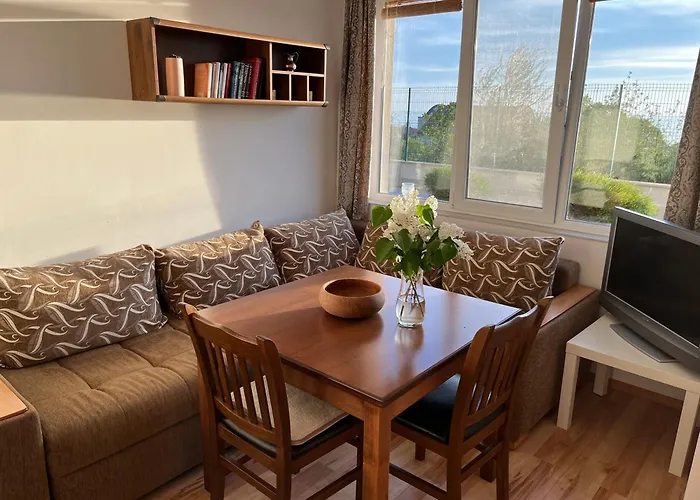 Summer Rose By The Sea