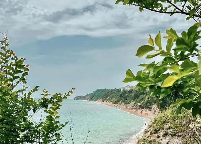 Summer Rose By The Sea Бяла