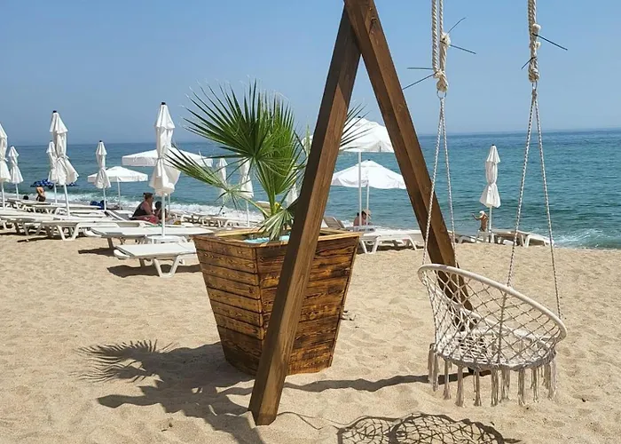 Daire Summer Rose By The Sea