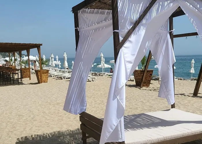 Summer Rose By The Sea Daire *